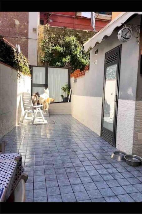 Napoli Centro Casa Con Due Camere E Cucina Exteriér fotografie